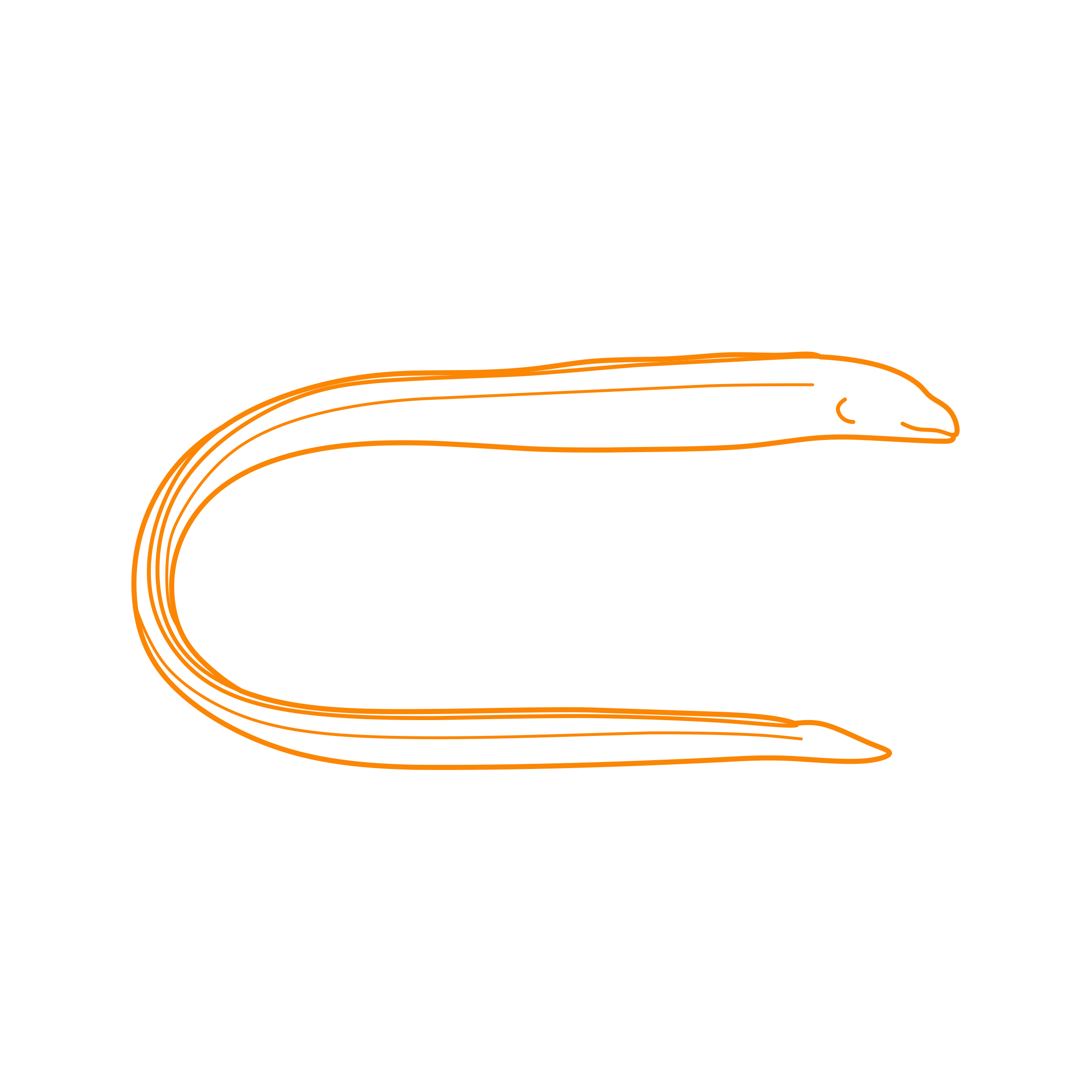 Animals Eels Snyders Moray Laser Cut Svg File Free Vectors